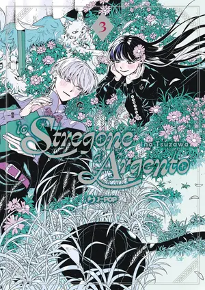 Copertina di LO STREGONE D'ARGENTO · 3 — LO STREGONE D'ARGENTO VOL.3
