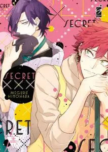 Copertina di MEGURU HINOHARA — Secret XXX